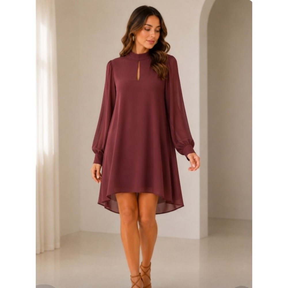 Naked Zebra Shift Dress Size‎ M Burgundy Long Sleeve Mock Neck Keyhole Flowy